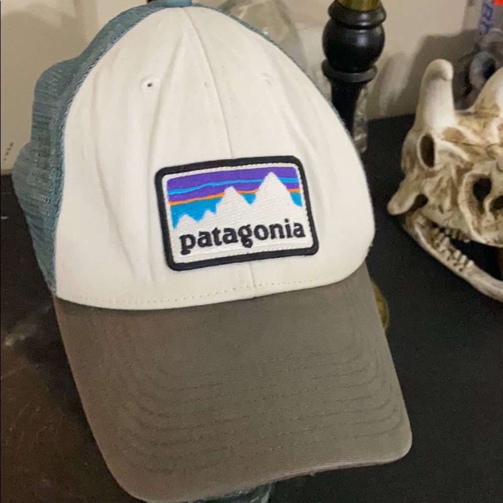SnapBack Patagonia
